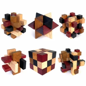 Wooden 3D Brain Teaser Puzzles 6 Pack